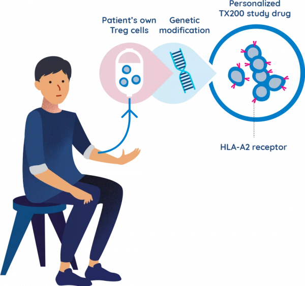 半年融資超5億美元，CAR技術能否加速Treg細胞療法發展？