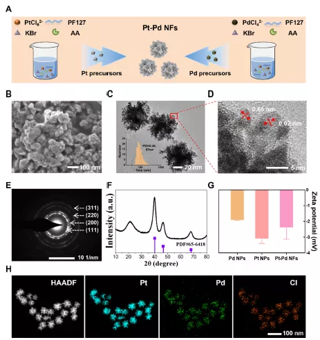可對抗腫瘤複合和轉移！廣東科研團隊創新治療方法，引發國際關注&excl;