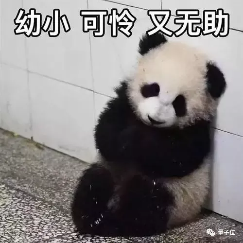 谷歌讓NLP模型也能debug,只要給一張「草稿紙」就行 谷歌讓NLP模型也能debug,只要給一張「草稿紙」就行