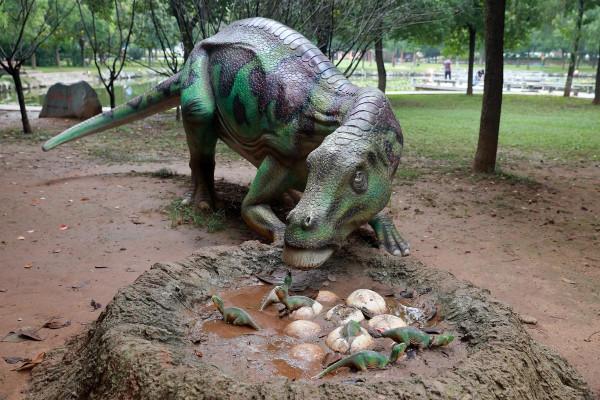 明天開始，這兩個景區免門票一個月
