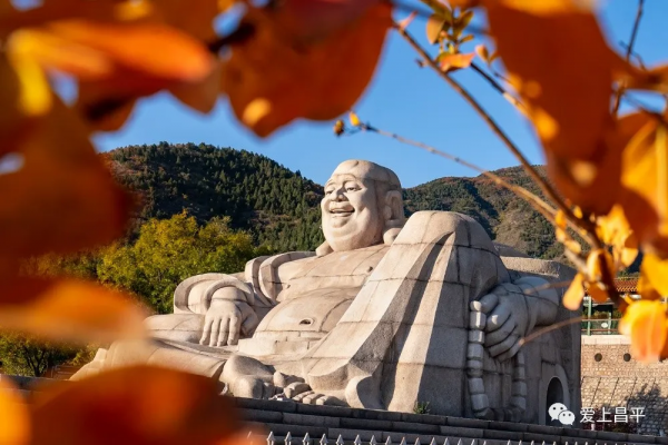 氣溫驟降,昌平這6個賞紅葉地即將登場,提前收藏 氣溫驟降,昌平這6個賞紅葉地即將登場,提前收藏