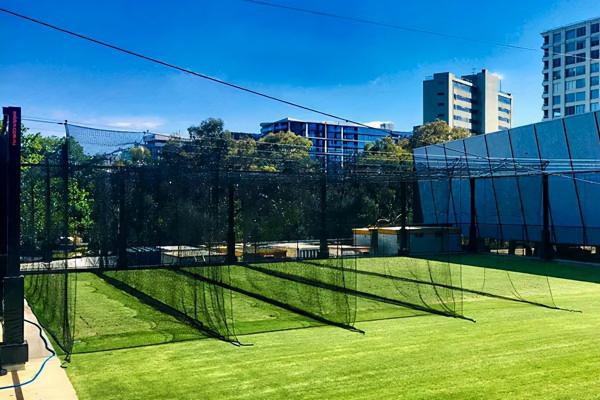 板球:小眾運動,大市場 板球:小眾運動,大市場