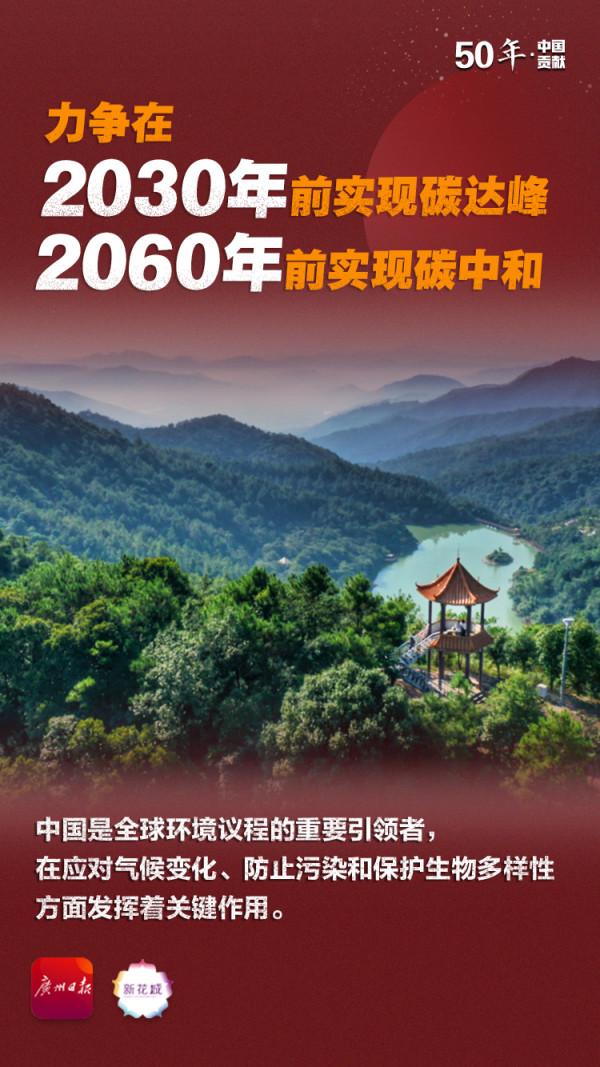 50年，中國對世界貢獻有多大？這組數字意義非凡