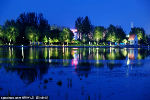 驚豔!冬奧花壇“綻放”京城,春節假期跟著花壇遊北京! 驚豔!冬奧花壇“綻放”京城,春節假期跟著花壇遊北京!