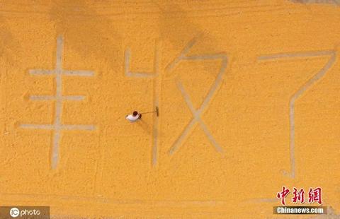 億萬中國農民,節日快樂 億萬中國農民,節日快樂