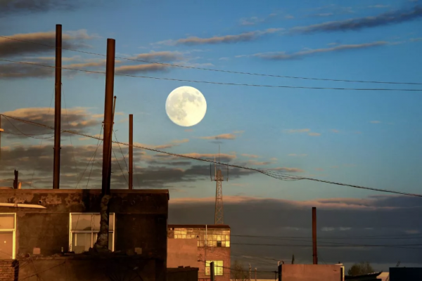 中秋節｜但願人長久，千里共嬋娟