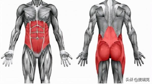 教練常用核心肌群訓練10個標準動作,簡單易學!氣質撐起來 教練常用核心肌群訓練10個標準動作,簡單易學!氣質撐起來