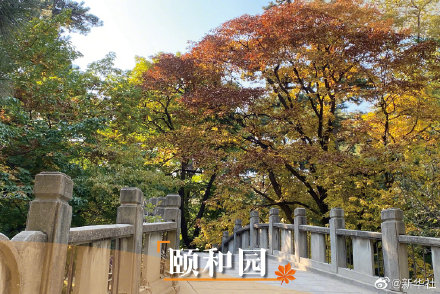 打卡北京秋日美景