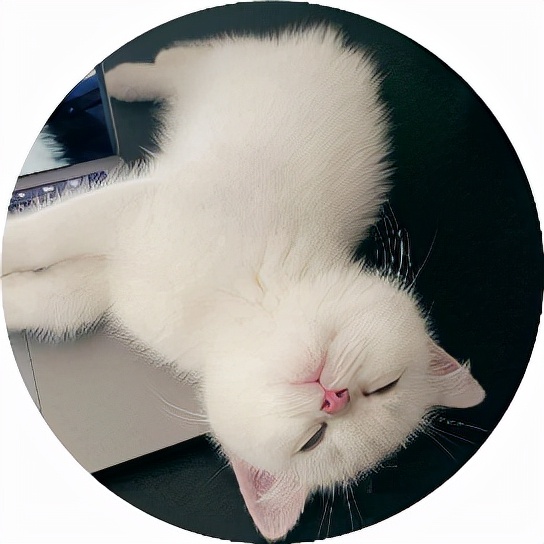 夏天使用蚊香真的會害死貓嗎？