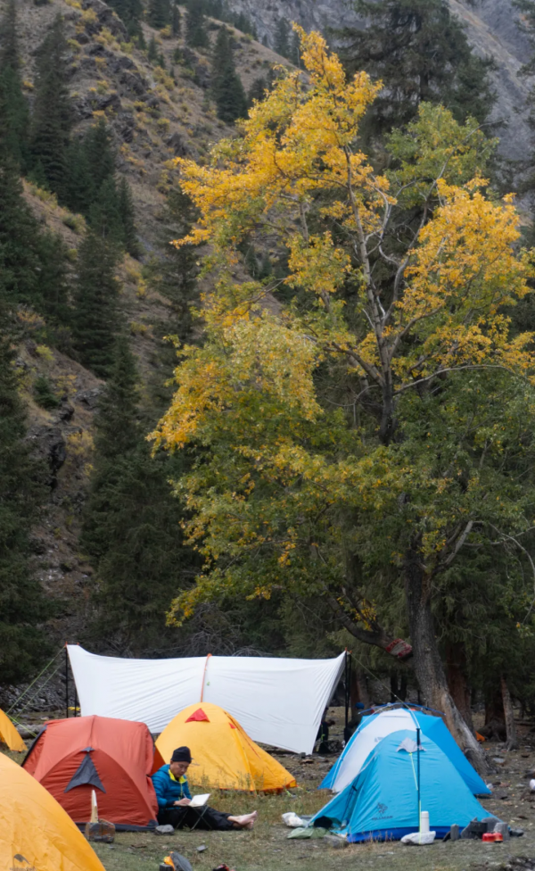 孟克德：金黃暴擊，意外心動