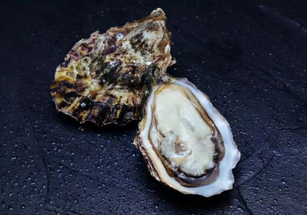 斷食兩天可以&OpenCurlyDoubleQuote;重啟&rdquo;人體免疫系統，是真的嗎？研究結果公佈