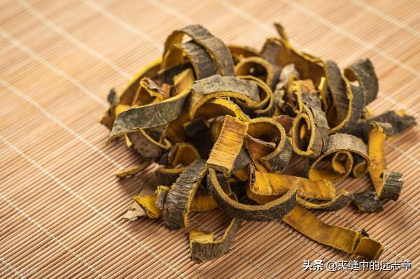 喝水都長肉？講兩個方子，一個化痰，一個清熱，給胖子減減肥