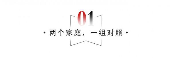 完美伴侶：高圓圓能平衡好家庭與事業嗎？