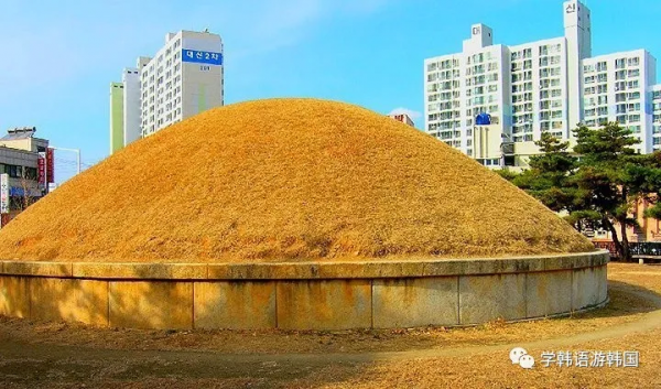 「遊」韓國的這座城市不允許建高樓，甚至家門口前都是墓地