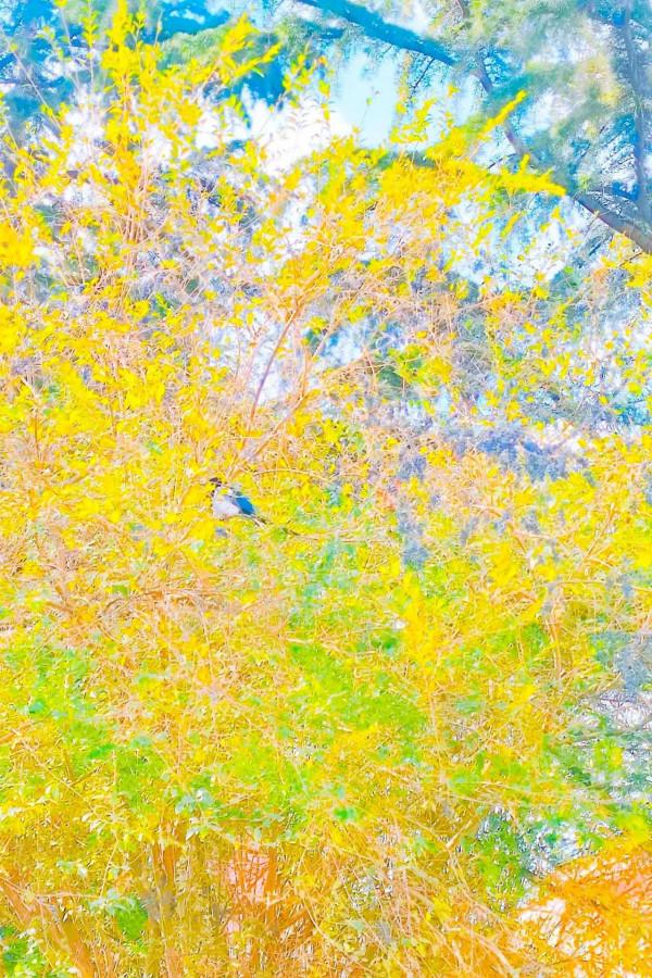 春風散文：尋冬，相遇