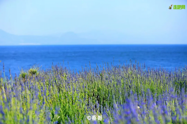 2022全年53條自駕路線上線，每一條都美哭了！你想要的，我們都有