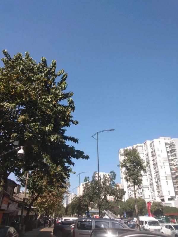 沒有錢最好不要去打擾任何人 沒有錢最好不要去打擾任何人