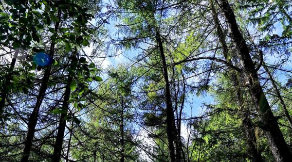 河南這個免門票的景區，爬山不累人，秋景好看，適合中老年人