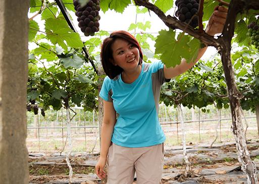 80後荊州大姐返鄉種葡萄,一百畝發展成3000畝,如今年入千萬 80後荊州大姐返鄉種葡萄,一百畝發展成3000畝,如今年入千萬