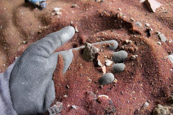 蘇聯遠東地區廢棄的杜加雷達