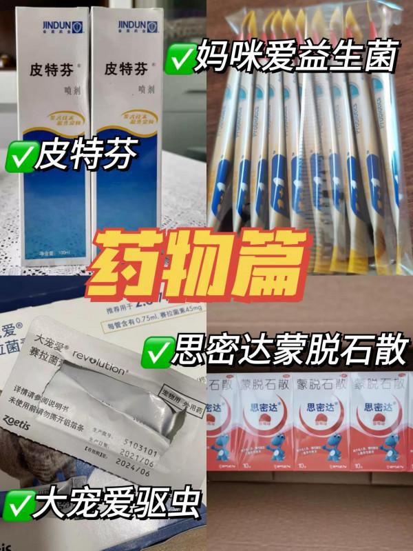 新手養貓這幾點要特別小心