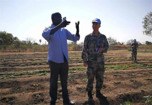 非洲人食不果腹總是埋怨土地，看看中國維和士兵種的菜：真打臉