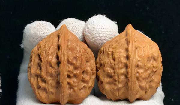 驢打滾獅子頭、野生鱘獅子頭、魚麟虎獅子頭…我就聽你接著編