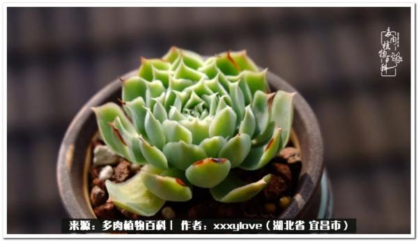 時光匆匆，一閃而逝，這世間萬物的美，都值得被記錄