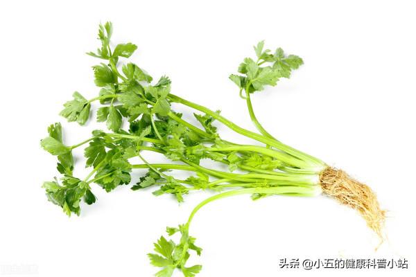 經常吃菠菜為什麼還是會缺鐵?正確補鐵注意7個方面 經常吃菠菜為什麼還是會缺鐵?正確補鐵注意7個方面