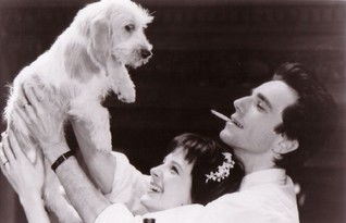 10分鐘讀完《生命不能承受之輕》：最容易遺漏的，是沒期待的平靜