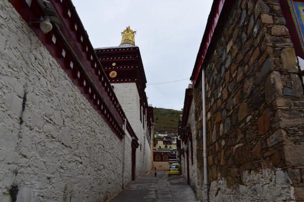 四川這個縣城,曾同時住著三個元帥、一個大將 四川這個縣城,曾同時住著三個元帥、一個大將