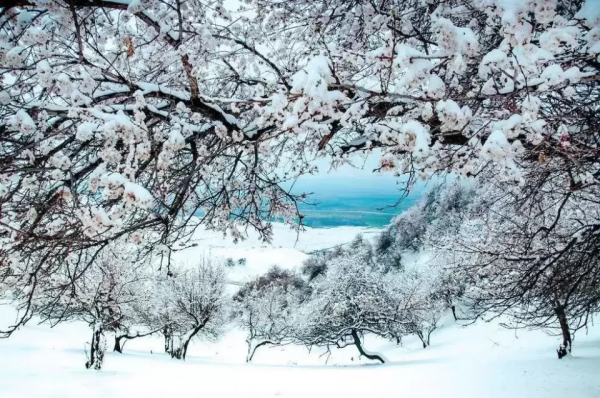 國內10個適合放鬆自己的旅行地，人少景美！疫情過後，就出發