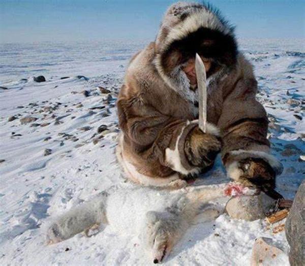 愛斯基摩人為啥幾乎一輩子吃生肉？“基因變異”還是另有原因？