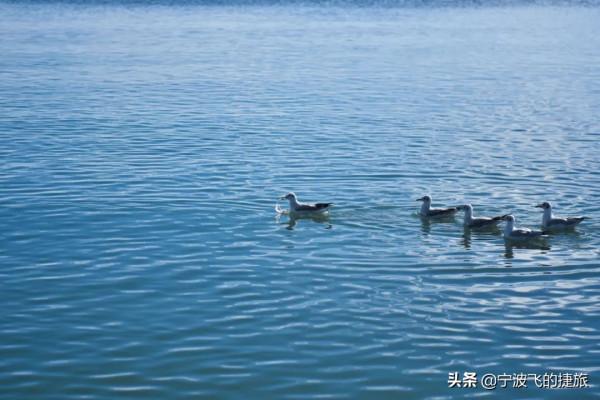 青海又一個世界級景點關閉!有些風景一旦錯過,就是一輩子了 青海又一個世界級景點關閉!有些風景一旦錯過,就是一輩子了