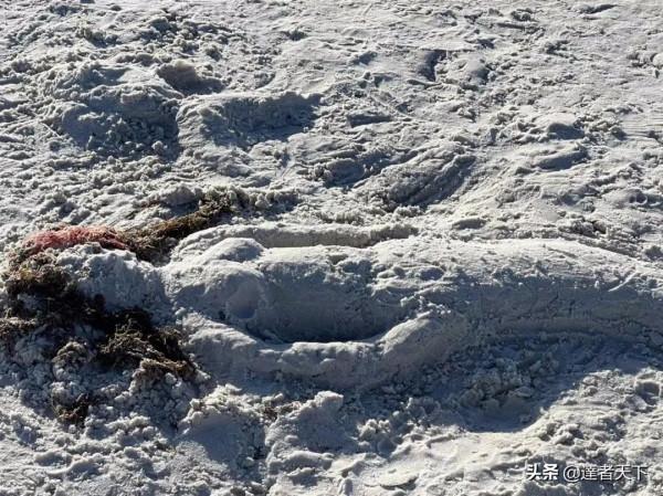 細白如銀｜翠霞帶你徜徉達Siesta Key 海灘