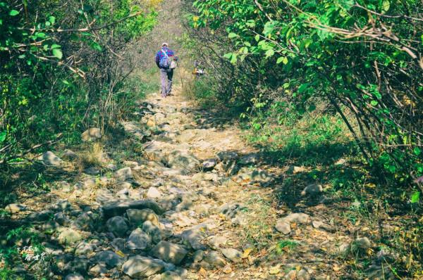 北京有一條“野香山”徒步線路，不僅有絕美紅葉，還藏著香山水庫