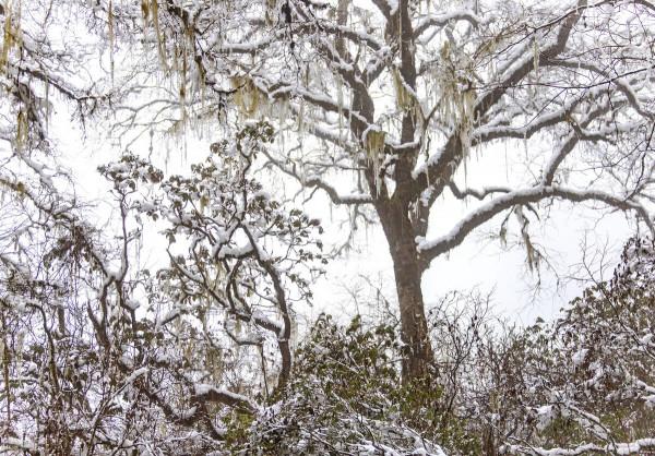 12月去哪玩?這8個美如畫卷的小眾打卡地,一到冬天就美成了仙境 12月去哪玩?這8個美如畫卷的小眾打卡地,一到冬天就美成了仙境