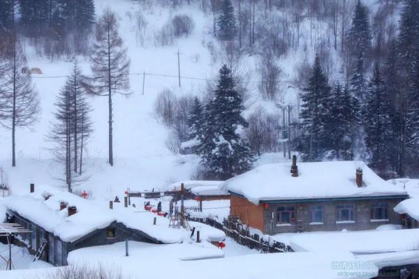 七律：雪鄉童話