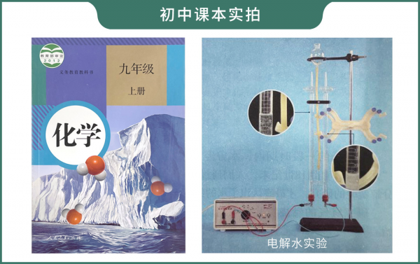 月銷2000+的果蔬清洗機，值不值得買？實測3款，告訴你答案