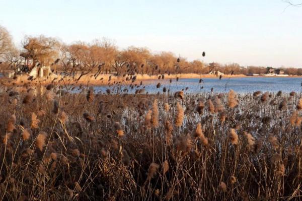 初冬頤和園 西堤觀六橋