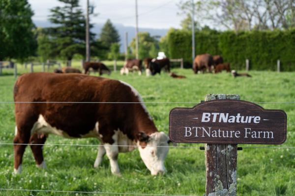 爆冷！天貓11月成人奶粉銷量排行榜殺出黑馬