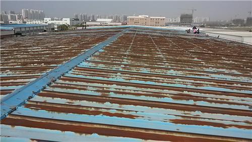 彩鋼瓦房有什麼危害?農村和城市都在強制拆除,背後有啥秘密 彩鋼瓦房有什麼危害?農村和城市都在強制拆除,背後有啥秘密