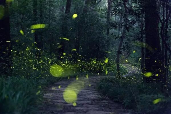 美！外國人眼裡最羨慕的中國美景，你都去過嗎？