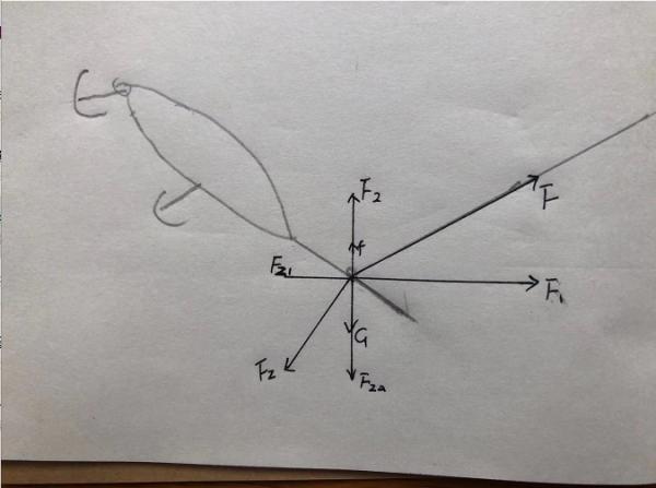 路亞釣魚進階指南：只有10%的人能看懂 理科生眼裡的魚餌水層分析