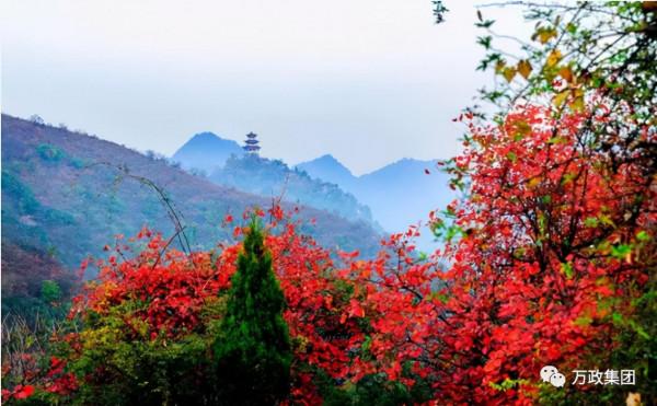 太極峽紅葉:漫山紅遍、層林盡染,錯過就是一年 太極峽紅葉:漫山紅遍、層林盡染,錯過就是一年