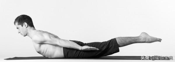 肌肉對瑜伽練習的重要性!5個加強肌肉的瑜伽體式 肌肉對瑜伽練習的重要性!5個加強肌肉的瑜伽體式