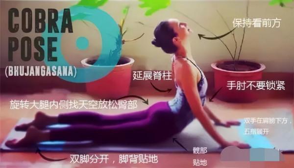 瑜伽眼鏡蛇式,需要你慢慢體會 瑜伽眼鏡蛇式,需要你慢慢體會