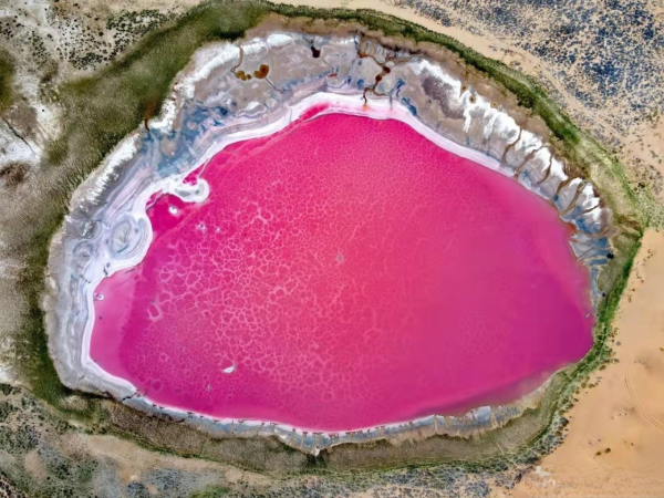 寧夏旅行|最火景點彙總 寧夏旅行|最火景點彙總