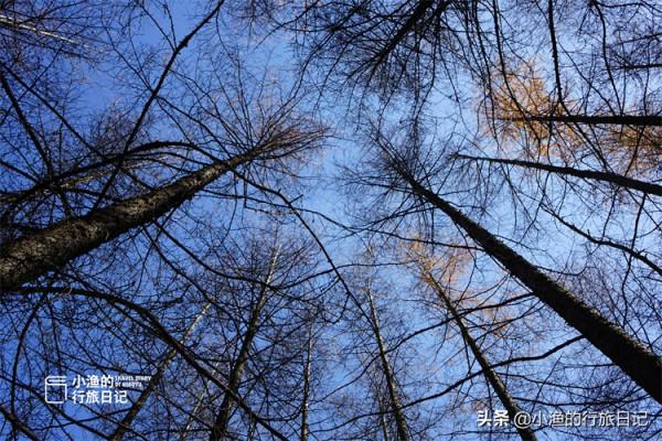 西安經典秦嶺自駕路線，有山有水有紅葉，風景超美，絕對值得一去