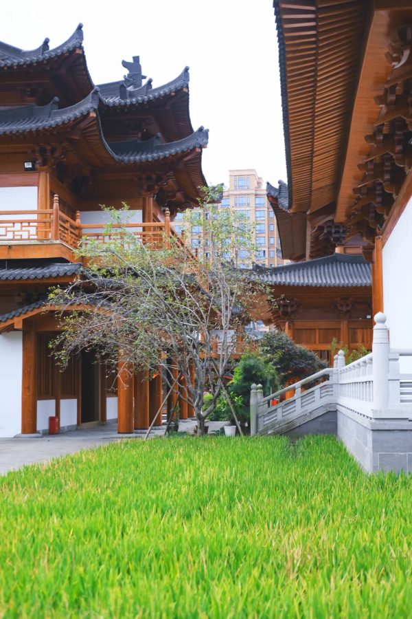 別再說什麼小京都了，寧波這些寺廟來打臉了